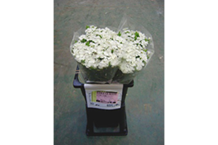 花を入れたELFバケットの使用例